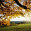Sameer_Sahni